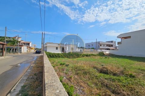 Terra a Melendugno, Lecce, Melendugno - € 65.000 | Ref: SE003 - foto 6